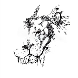 Lion - Original Art - Ink Drawing