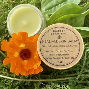 May include: A jar of yellow balm is open next to a wooden lid with text that reads "HEAL-ALL SKIN BALM". An orange flower and green leaves surround the jar and lid. The balm is 45g.