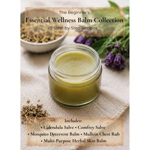 Könnte beinhalten: Ein durchsichtiges Glasgefäß gefüllt mit einem glatten, hellgrünen Kräuterbalsam. Der Text auf dem Bild lautet: The Beginner's Essential Wellness Balm Collection, 5 Step-by-Step Recipes, Includes: Calendula Salve, Comfrey Salve, Mosquito Deterrent Balm, Mullein Chest Rub, Multi-Purpose Herbal Skin Balm.