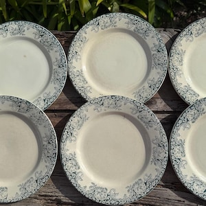 6 platos antiguos franceses terre de fer, R & A SALINS, loza, coleccionable, principios de 1900, serie Montespan, transferware,