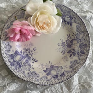 Può includere: Un piatto in ceramica bianca con un motivo floreale blu e un bordo decorativo. Il piatto è adornato con rose rosa e bianche. Il design presenta dettagliate composizioni floreali, creando un'estetica vintage.