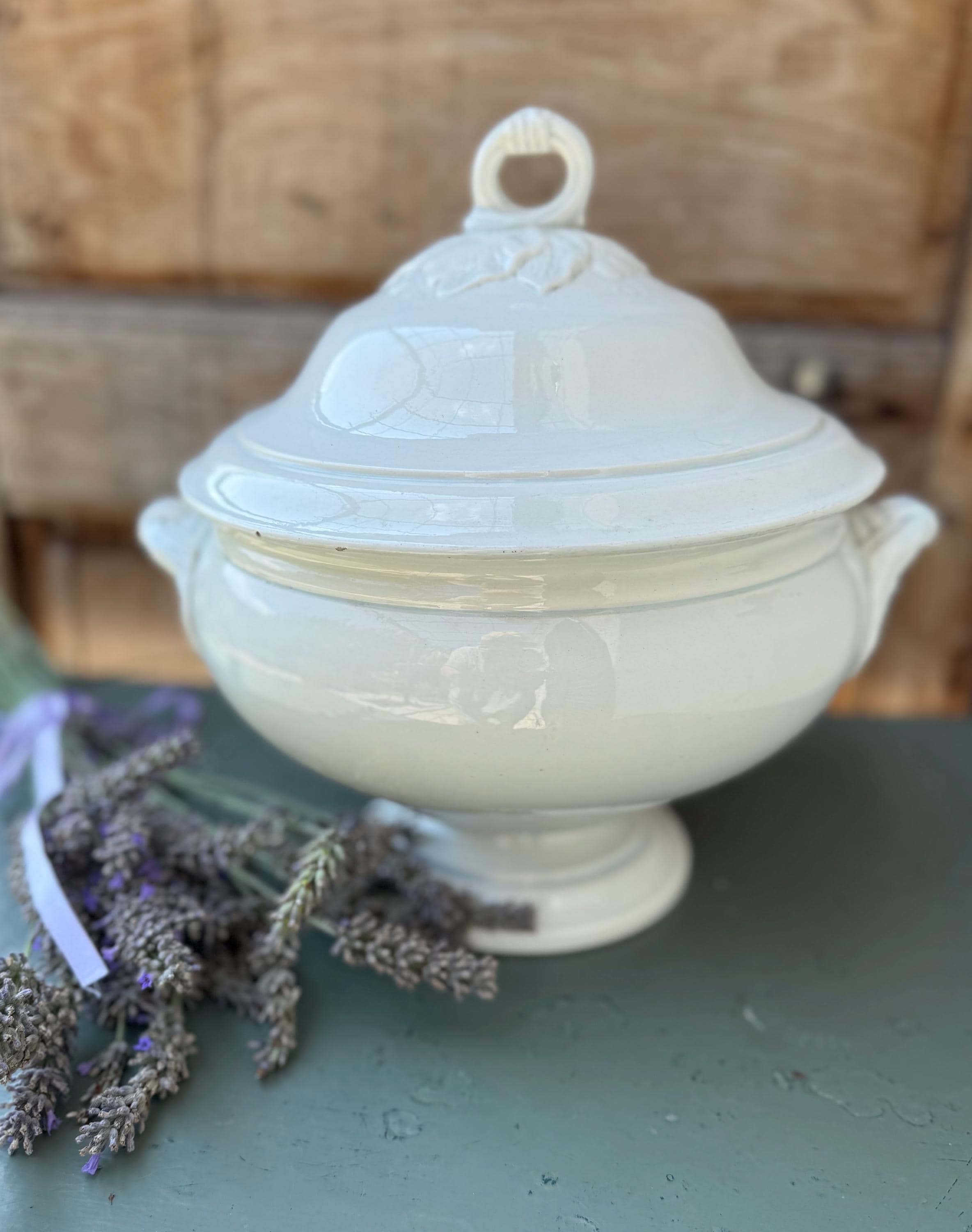 Zuppiera In Ceramica Bianca Shabby Chic - Collezione Moss Rose, 23.5x23.5 Cm - Per Tavola Elegante