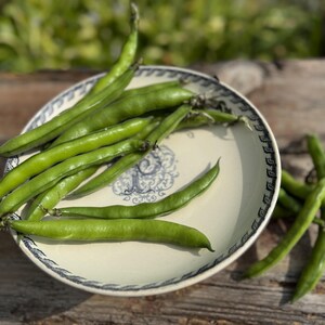May include: A collection of fresh green fava bean pods piled on a round, cream-colored ceramic plate. The plate features a decorative black and white patterned rim and a central blue floral emblem. Additional fava bean pods lie nearby.
