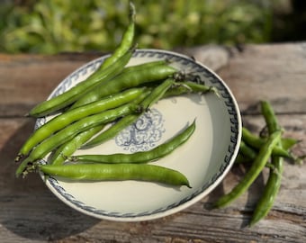 P Monogrammed terre de fer cake stand, fruit stand, bleu, K & G Luneville
