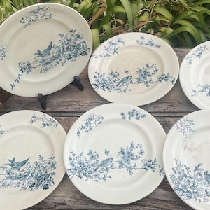 Terre De Fer - Etsy