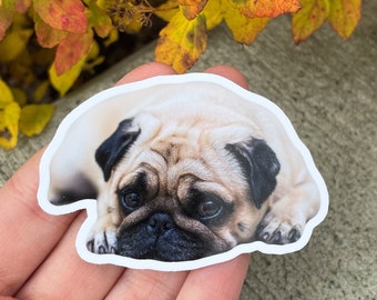 Custom Dog Sticker For Christmas or Holiday Gift | Stocking Stuffer for Pet Lovers