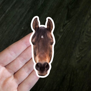 Horse Custom Sticker | Upload Any Image