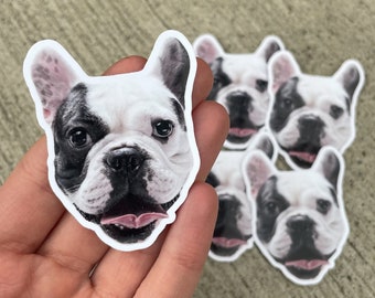 Christmas Stocking Stuffer - Sticker of Family Pet