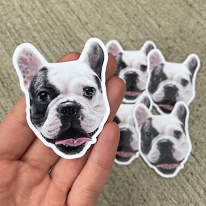 Custom Pet Stickers