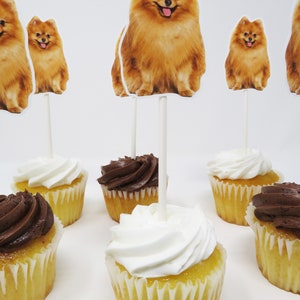 May include: Six cupcakes with white and chocolate frosting, decorated with small dog toppers. The dog toppers are brown and white and have a fluffy appearance.
