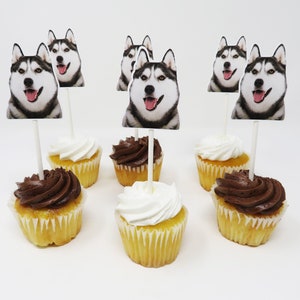 May include: Six cupcakes with white and chocolate frosting topped with edible images of Siberian huskies. The cupcakes are on a white surface.