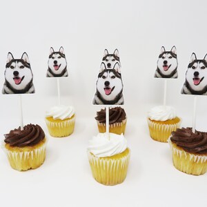 May include: Six cupcakes with white and chocolate frosting topped with edible images of Siberian huskies. The cupcakes are on a white surface.
