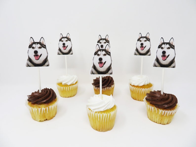 May include: Six cupcakes with white and chocolate frosting topped with edible images of Siberian huskies. The cupcakes are on a white surface.