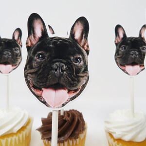 May include: Four cupcakes with white and chocolate frosting topped with black and white French bulldog face cupcake toppers.