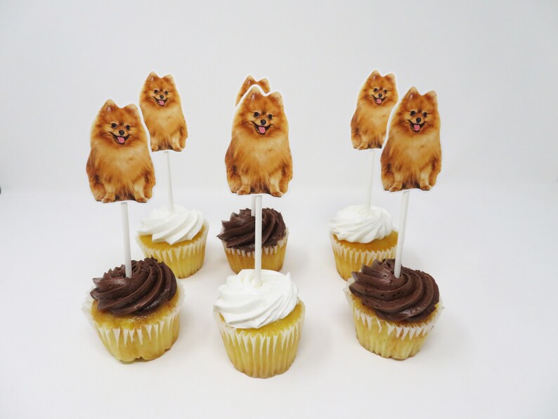 May include: Six cupcakes with brown and white frosting topped with edible images of Pomeranian dogs. The cupcakes are on a white surface.