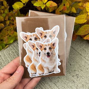 May include: Four brown and white corgi dog stickers on a brown paper background. The stickers are in a clear plastic sleeve.