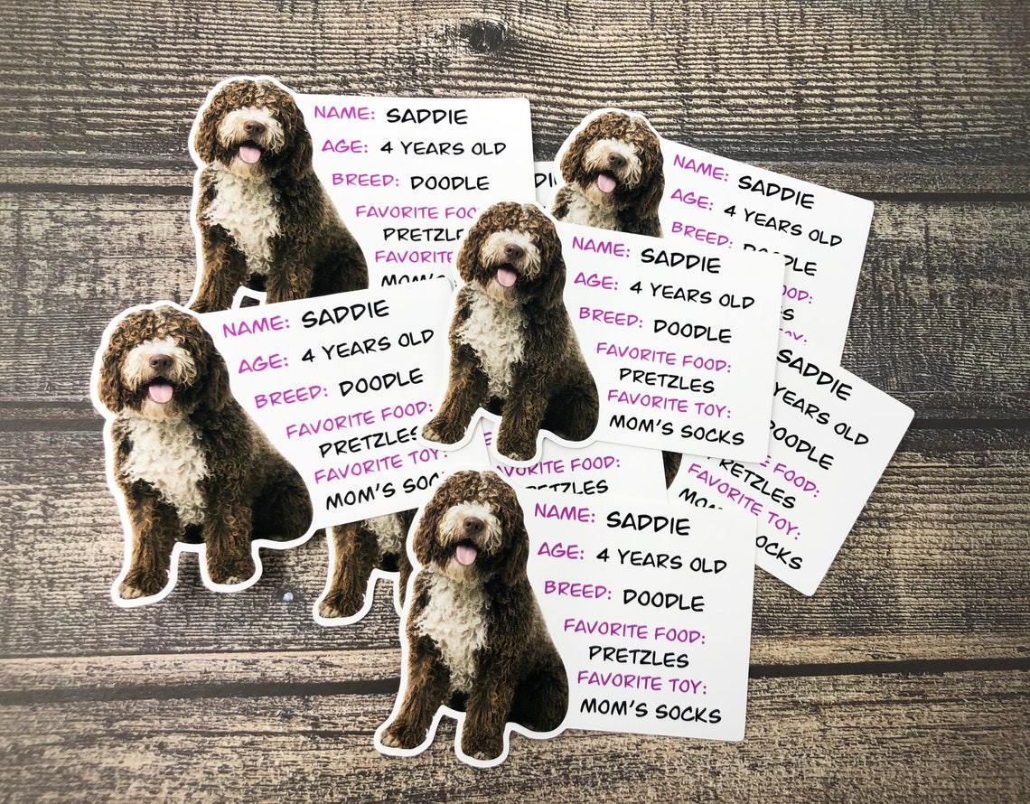 Therapy Dog Business Card Stickers Stickers for Children Etsy