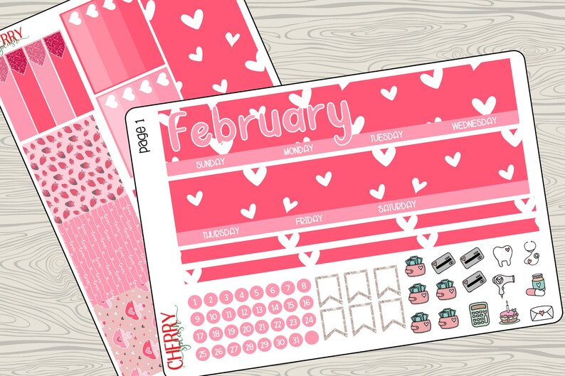 Erin Condren Winter New Year's JANUARY Planner Stickers Monthly Spread