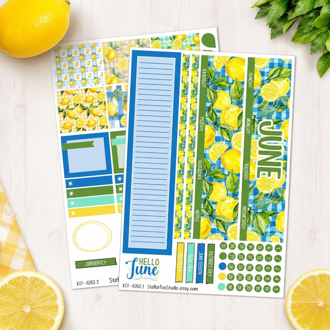 June Summer Monthly Planner Sticker Kit Erin Condren Classic Happy ...