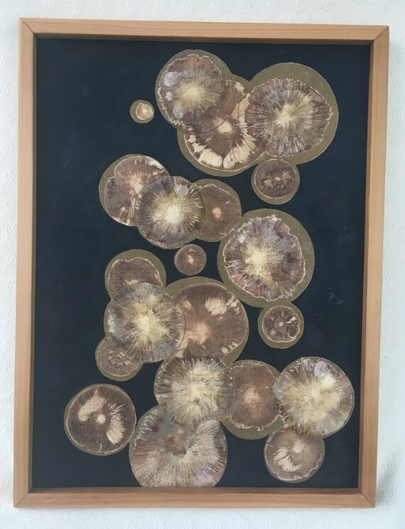 Nature Art Spore Print Art Mushroom Art Etsy