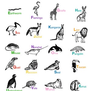 Animal Alphabet