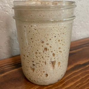 Organic Sourdough Starter