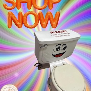 May include: A white toilet featuring a cartoon face decal on the tank and text on the lid that reads PLEASE! Hold Down Handle When Flushing. Above the toilet, orange balloon-style letters spell out the words SHOP NOW against a rainbow background.