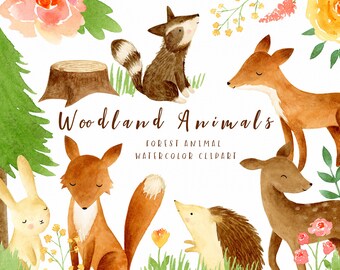 Woodland Baby Animal Clipart Set, Forest Friends PNG, Woodland Clip Art Graphics, Watercolor Illustrations Bundle