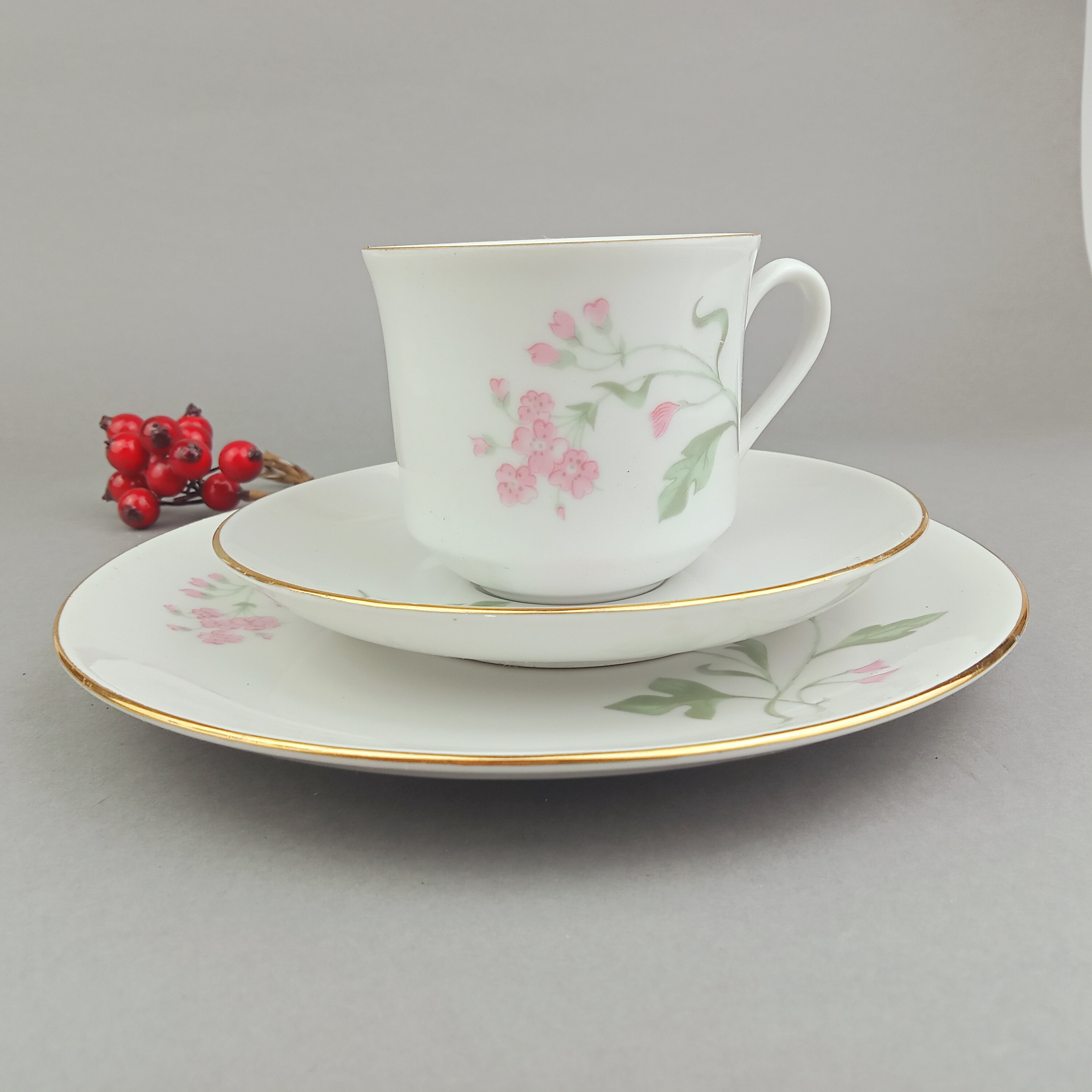 ボヘミアのヴィンテージの美しい白磁カップ、ソーサー、プレートの