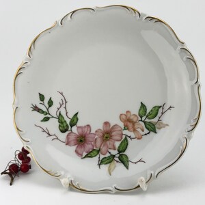 Hand painted german decorative plate