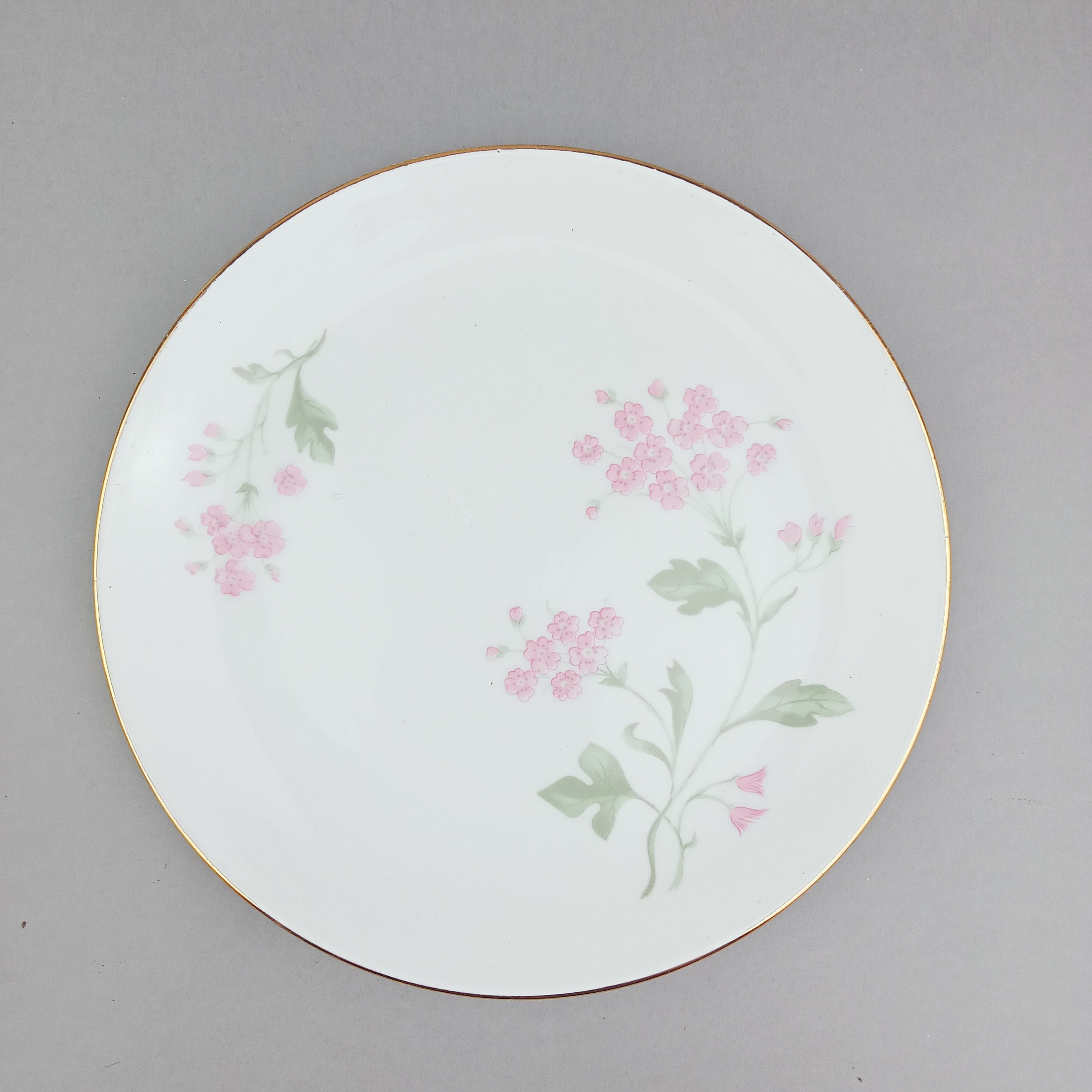 ボヘミアのヴィンテージの美しい白磁カップ、ソーサー、プレートの