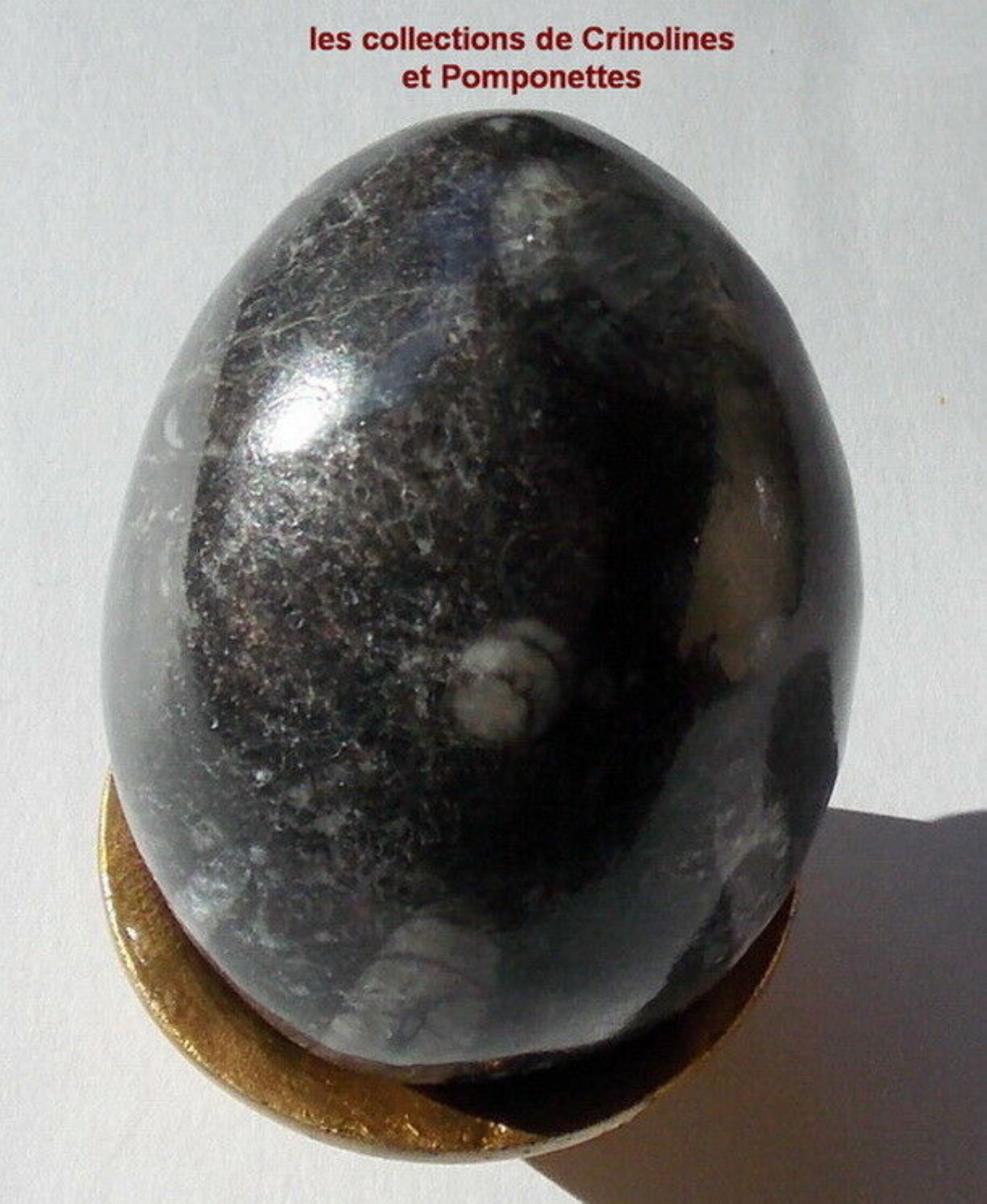 Oeuf de Collection en Pierre Fine Semi-Précieuse Orthoceras Noir