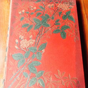 O ÓRFÃO DE MOSCOU de Madame Woillez, edição Mame et Fils, 1854, livro antigo