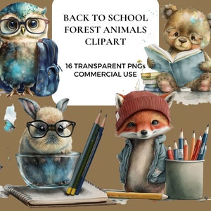 Ritorno a scuola Clipart di animali della foresta carini / PNG trasparenti / Uso commerciale / Tecnica mista acquerello / Procione / Coniglio / Orso da lettura