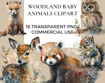 Waldtiere Clipart Aquarell / Clipart für kommerzielle Nutzung / Transparente PNG Dateien / Kinderzimmer Clipart / Fuchs / Bär / Hirsch / Igel