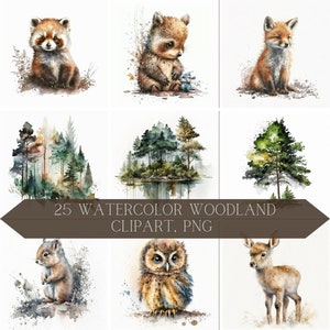 25 PNG Aquarell Baby Waldtiere, Clipart-Bundle, kleine Waldbabys Clipart PNG Bundle, Kindergarten Wald niedlichen Tier Clipart Set