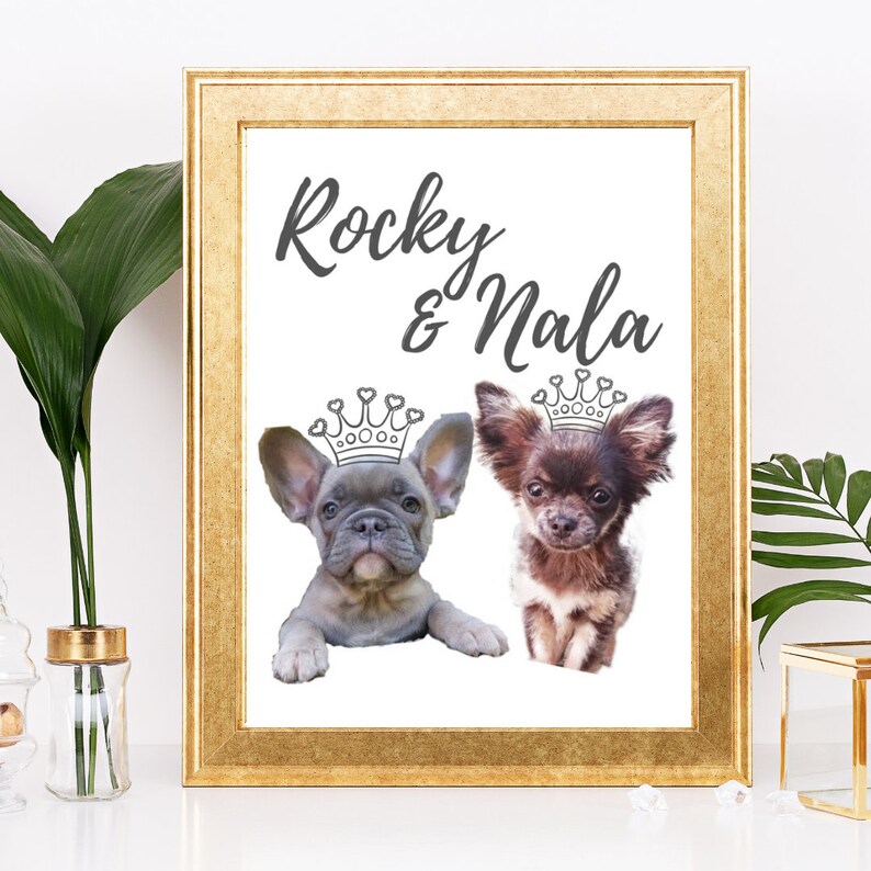 Personalised Pet Portraits Etsy