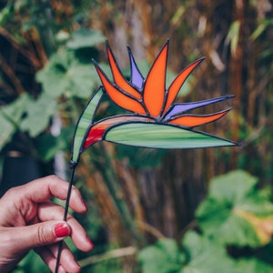Stained Glass Bird of Paradise Flower – Handmade Art - Etsy