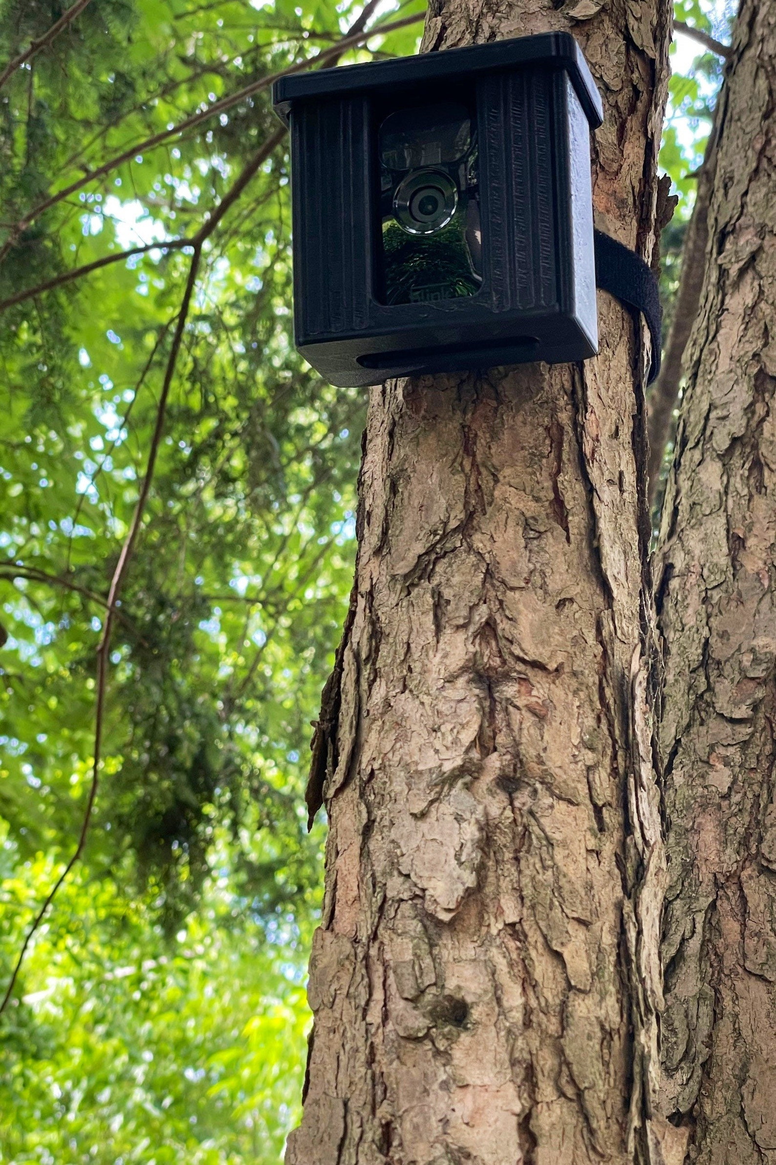 Blink Cam Tree & Post Mount Etsy