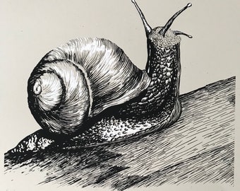 Snail. Screenprint. 10x12"