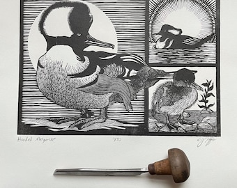 Hooded merganser. Wood engraving. 5x7”