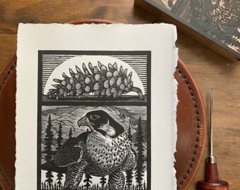 Peregrine falcon. Wood engraving 4x5”