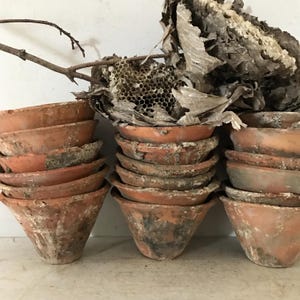 May include: A stack of terracotta flower pots, some with a white residue, are arranged in a row. A piece of dried wasp nest sits on top of the pots.