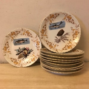 May include: A set of ten white porcelain plates with a gold rim. Each plate features a hand-painted design of a fish and seaweed in shades of brown and blue.
