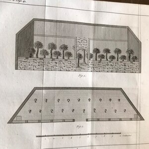 May include: A black and white illustration of a cross-section of a greenhouse with a brick wall and a row of trees. The bottom illustration shows a plan view of the greenhouse with a scale in centimetres.