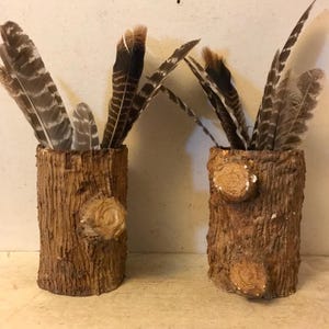 May include: Two rustic wooden log vases with brown and white feathers inside. The vases are made to look like tree trunks with bark texture.
