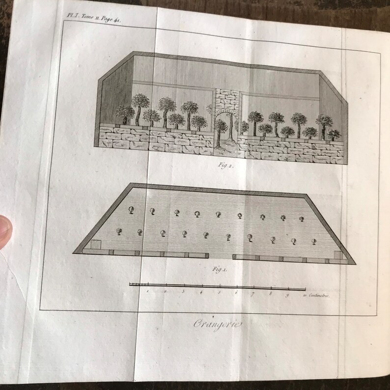 May include: A black and white illustration of two different designs for an orangery. The first design shows a greenhouse with a brick wall and a row of trees. The second design shows a top-down view of a greenhouse with a brick wall and a grid of trees.
