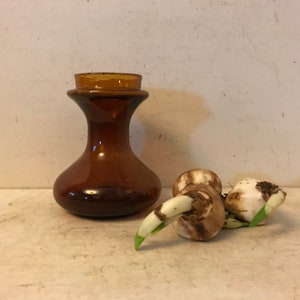 Antique Hyacinth Vase Bulb Vase Antique Forcing Vase Hand blown  Glass Garden Americana