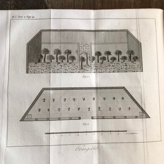 Antique French Print Orangerie Architectural Engraving French  Tools French Industrial