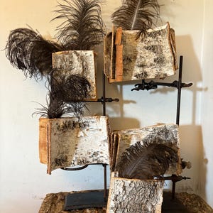 May include: A unique decorative display featuring birch bark containers with dark brown feathers. The containers are mounted on a black metal stand, creating a rustic and artistic arrangement. The display is set on a wooden base.